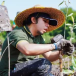 Sustainability as a collective action. A student planting a mangrove sapling as part of a conservation activity in Manjung.